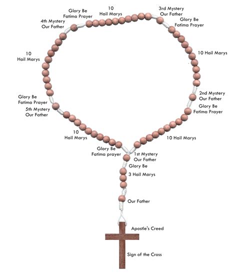 catholic pray the holy rosary